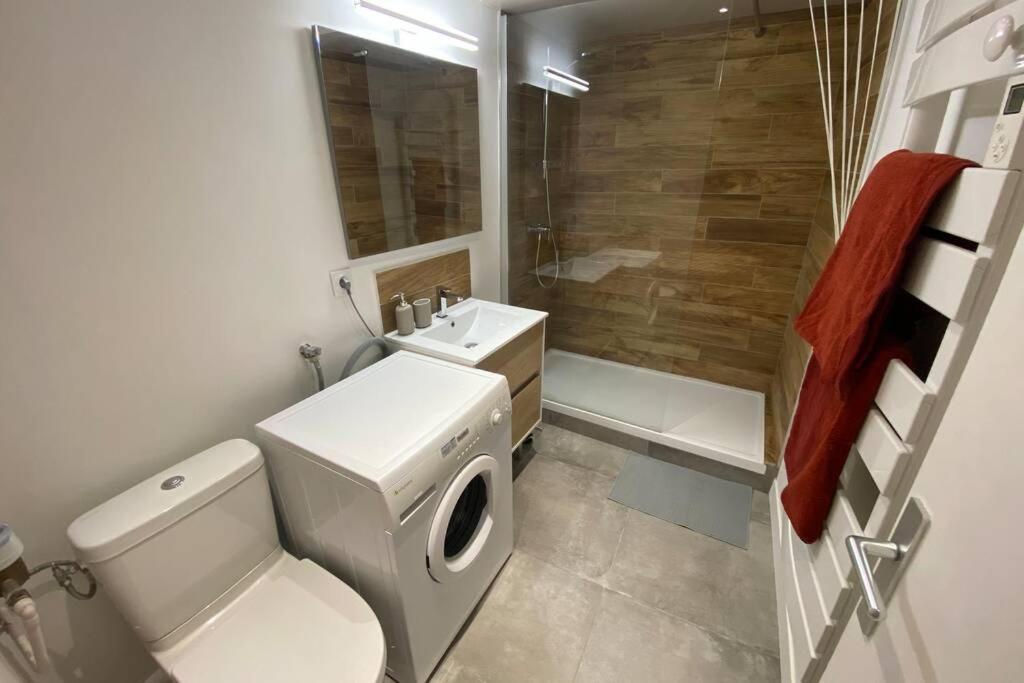 Place De Metz, Hyper-Centre Grenoble, Studio 25 M2 Esterno foto