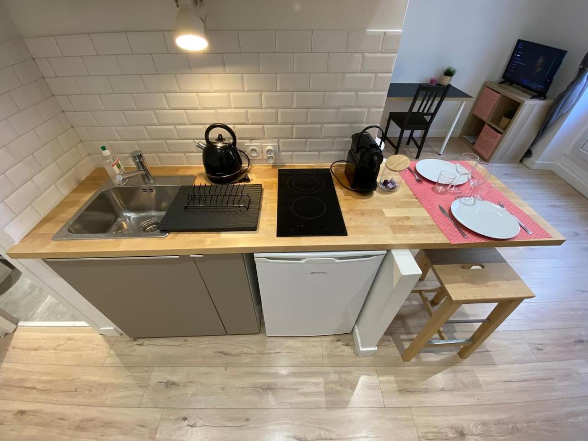 Place De Metz, Hyper-Centre Grenoble, Studio 25 M2 Esterno foto